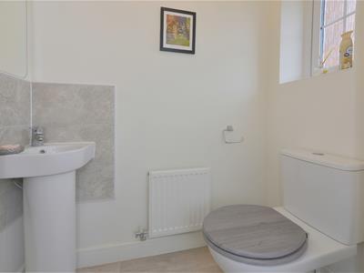 Picture 17